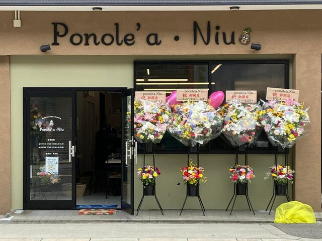 Ponole'a.Niu(大阪府)