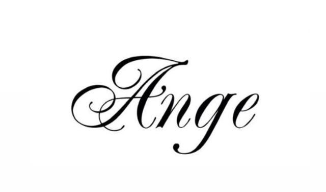 サロン&スクールAnge(岡山県)